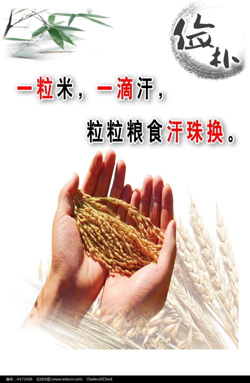 蒙纳许大学会计文凭证书